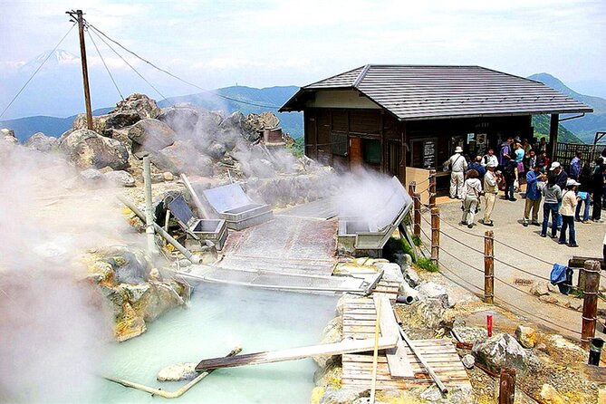 Lake Ashi Hakone Owakudani Kowakien With Daily Chauffeur - Pricing and Booking Details