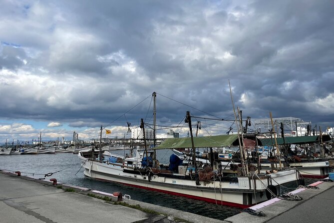 Maze Town Walking and Exploring Fish Market in Izumisano, Osaka - Cancellation Policy