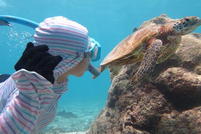 [Miyakojima Snorkel] Private Tour From 2 People Lets Look for Sea Turtles! Snorkel Tour That Can Be - Conclusion