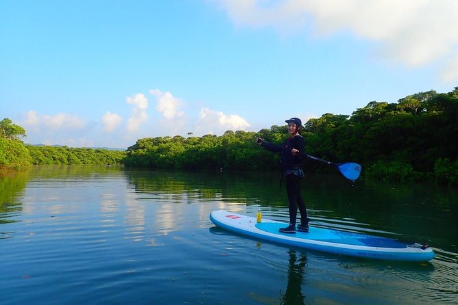 Miyara River 90-Minute Small-Group SUP or Canoe Tour 2024 - Ishigaki - What To Expect During Tour