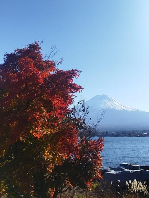 Mount Fuji-Lake Kawaguchi Private Tour With Bilingual Driver - Key Tour Highlights
