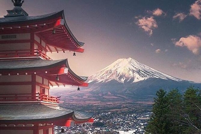Mount Fuji: Private, Customized Tour From Tokyo - Tour Highlights