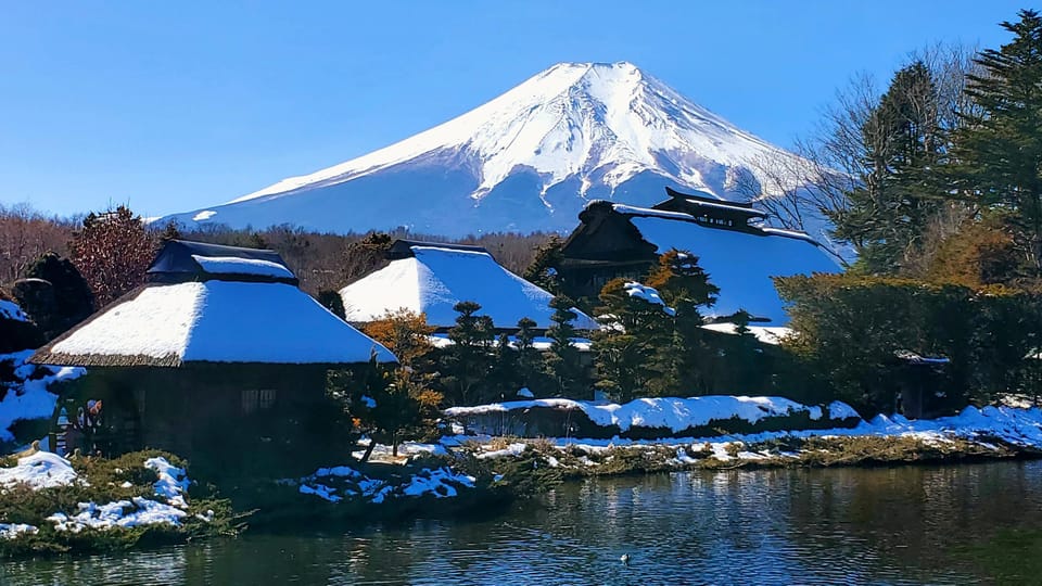 Mt. Fuji and Hakone: Full Day Private Tour W English Guide - Inclusions