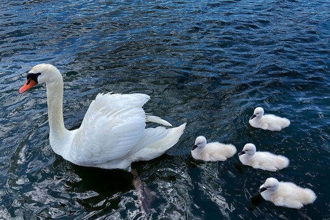 Mt Fuji Crafts Village and Lakeside Kid-Friendly Bike Tour - Expectations for Participants