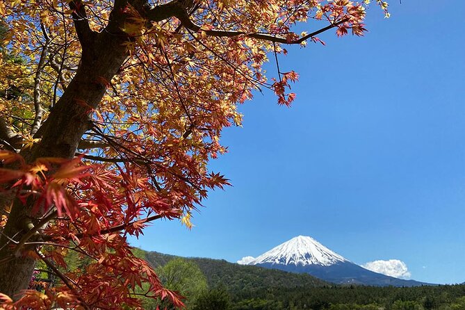 Mt Fuji Japanese Crafts Village and Lakeside Bike Tour - Meeting and Pickup