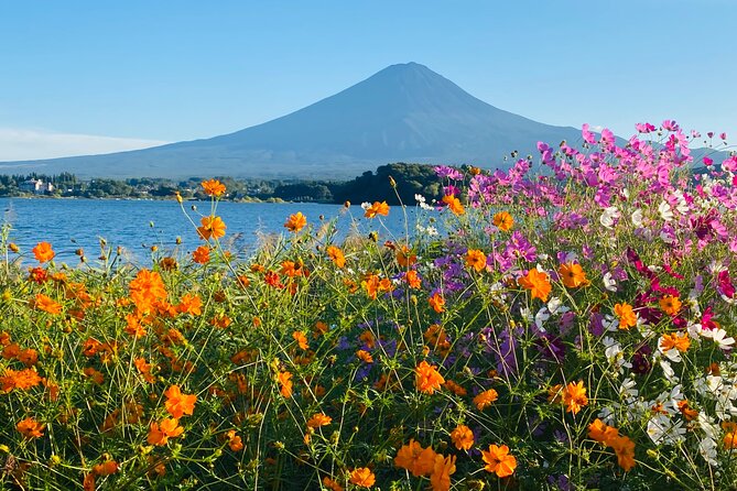 Mt. Fuji Private Sightseeing With Bilingual Chauffeur - Bilingual Chauffeur Services