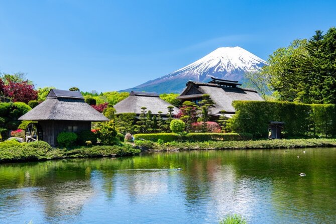 Mt. Fuji Private Tour With English Speaking Driver - Traveler Feedback and Reviews