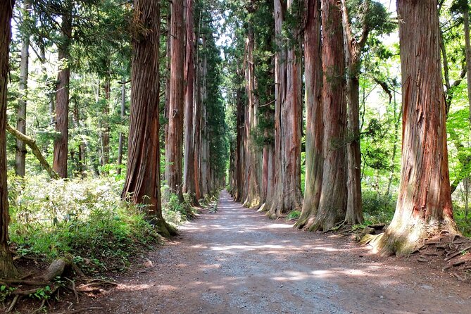 Nagano Togakushi: Soba and Ninja Experience Bus Tour - Meeting Details