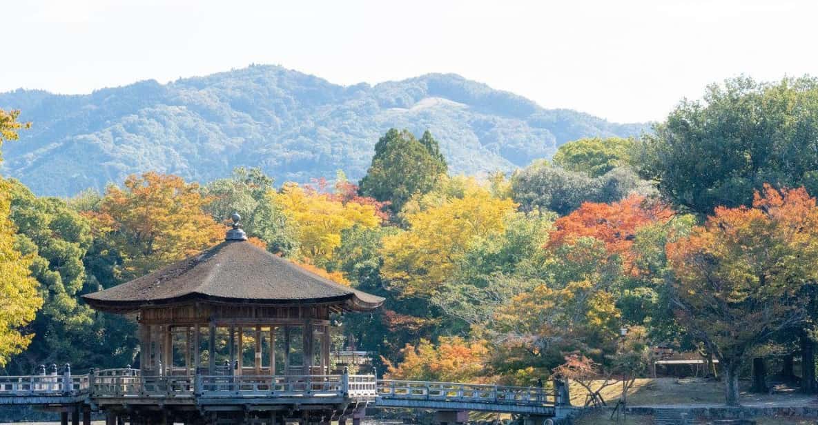 Nara: Private City Tour With A Local Guide - Reviews