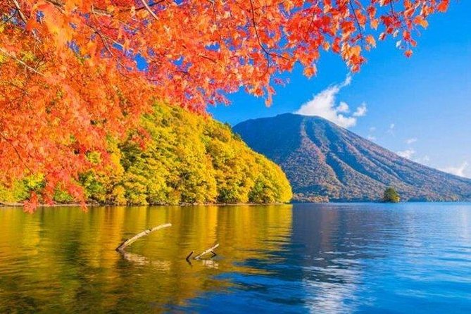 Nikko Tour From Tokyo With Guide and Vehicle - Traveler Experience