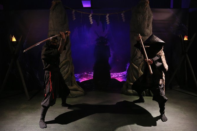 Ninja 1-Hour Hands-On Lesson in English in Tokyo - Pricing and Booking Information