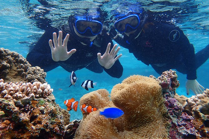 [Okinawa Miyako] [1 Day] SUPerb View Beach SUP / Canoe & Tropical Snorkeling !! - Reviews and Ratings