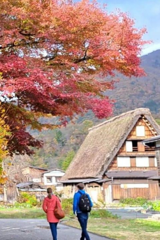 One Day Private Tour to Shirakawa-go & Takayama - Customer Reviews
