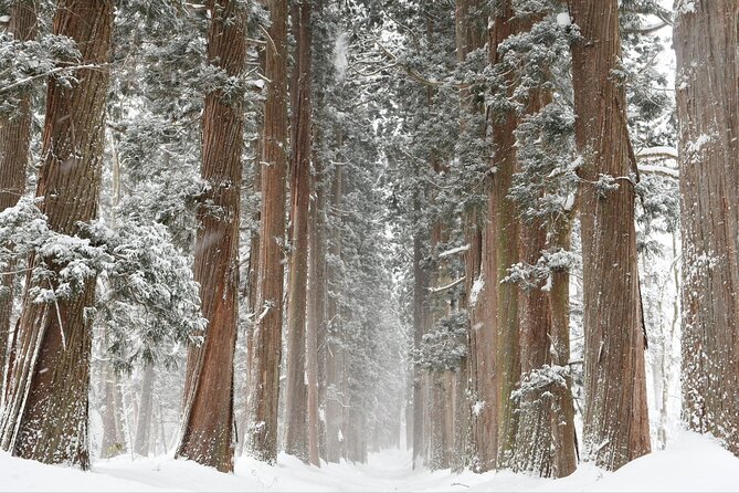 One Way Private Shuttle to Nagano Ski Centers - Common questions