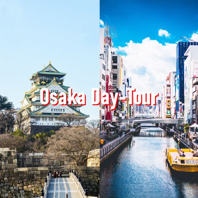 Osaka: 10-Hour Customizable Tour With Private Car - Customization Options