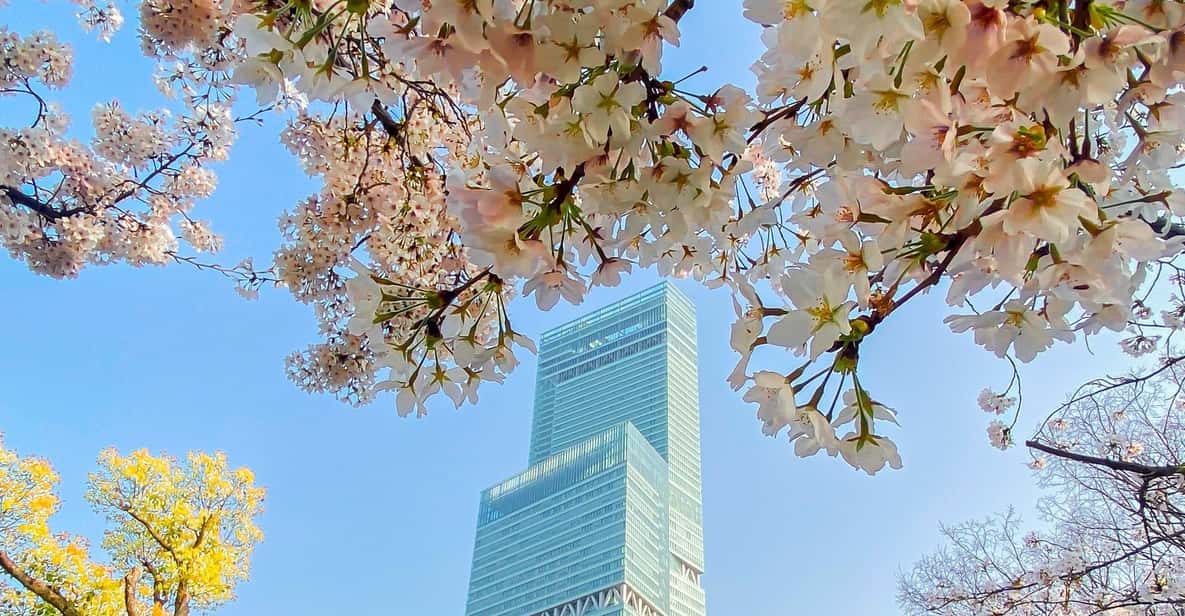 Osaka: Abeno Harukas 300 Observatory E-Ticket - Customer Reviews