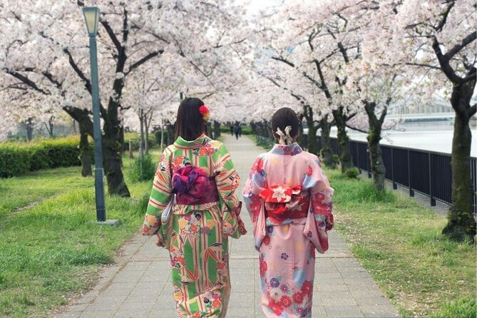 Osaka Cherry Blossom Tour With a Local: 100% Personalized Private - Picnic Experience