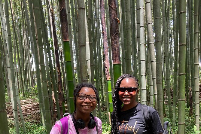 Private Custom Tour: Kyoto in One Day - Itinerary Highlights and Options