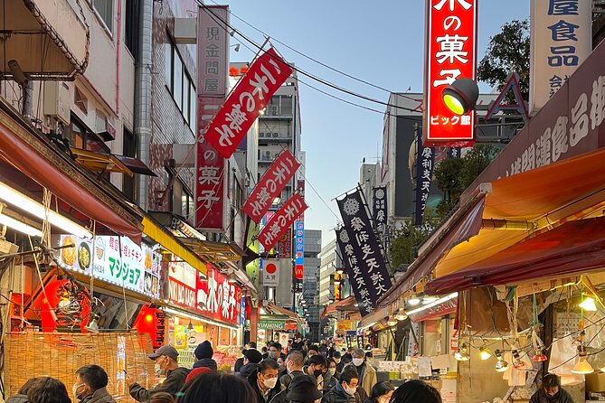 Private Half-Day Tour Colorful and Busy Street in Central Tokyo - Inclusions and Exclusions