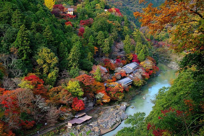 [Private] Kyoto Tailored Tour (Guide Private Transport) - Cancellation Terms