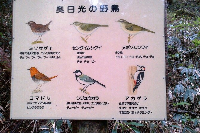 Private Morning Hike Around Nikko Toshogu Shrine - Questions and Support