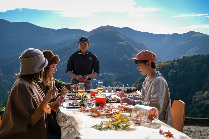 Private Multi Day Tour in Tokushima Miyoshi - Cancellation Policy Details