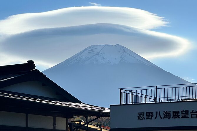 Private Sedan One-Day Mount Fuji Tour - Private Sedan Details