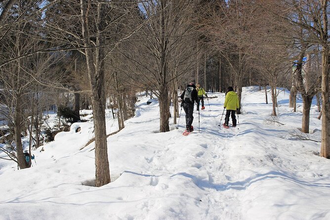 Private Snowshoeing Tour in Hida - Cancellation Policy