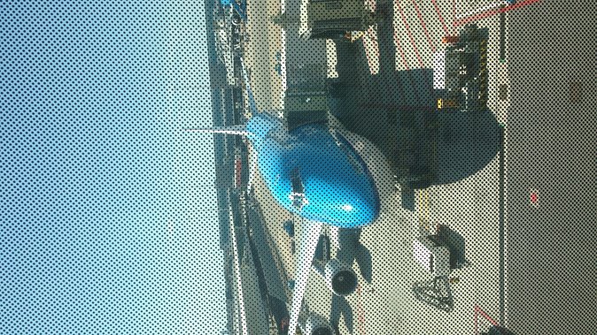 Private Tokyo Tour Guide Japanese Disco, Clubs. Dancing Any Where Translate. - Accessibility and Logistics