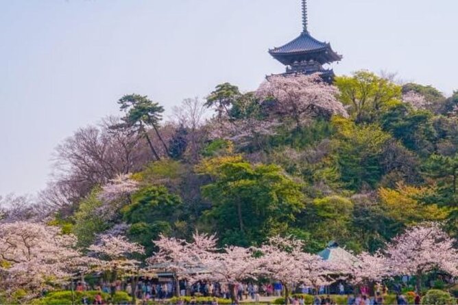 Private Tour Guide Yokohama With a Local: Kickstart Your Trip, Personalized - Insider Tips for Exploring Yokohama