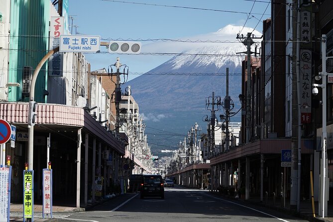 Private Transport Mt Fuji and Hakone 1 Day Trip - Pickup Information and Tour Details