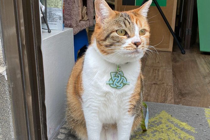 Private Workshop of Handmade Traditional Japanese Paper in Tokyo - Cancellation Policy