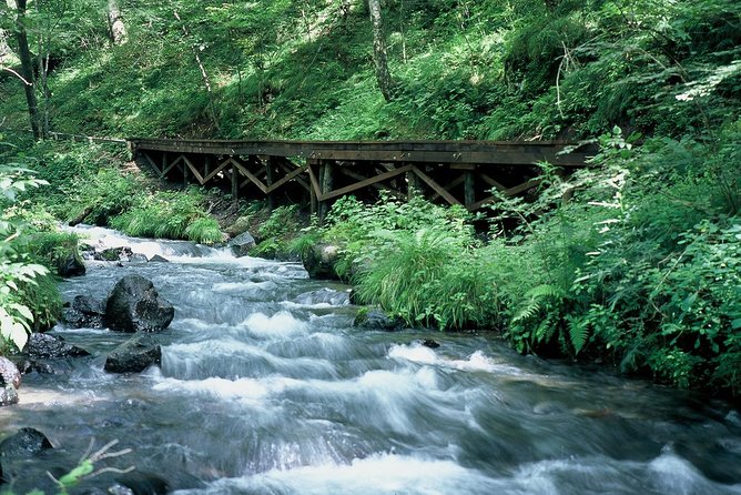 Relax and Refresh in Karuizawa Forest! Shinanoji Down Trekking for Two People - Duration and Inclusions