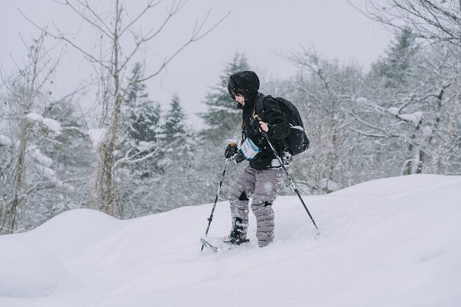 Shared Snowshoe Hiking Tour in Semboku - Traveler Photos