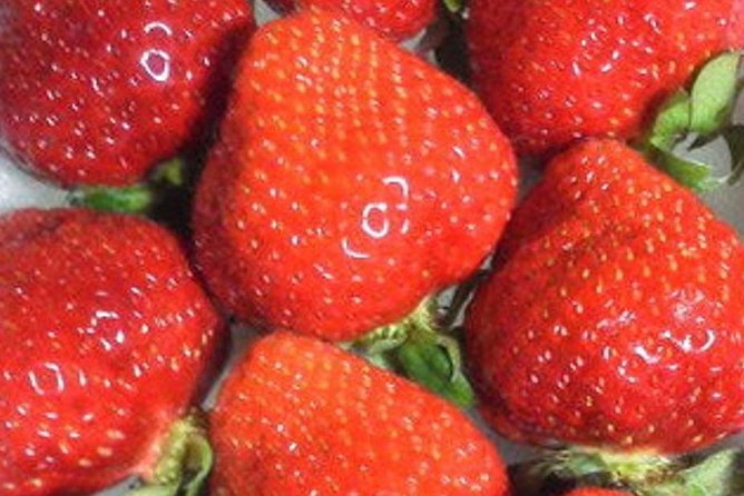 Short Day Trip Chater Bus to Strawberry Picking & Shop in Fukuoka - Meeting Point Information