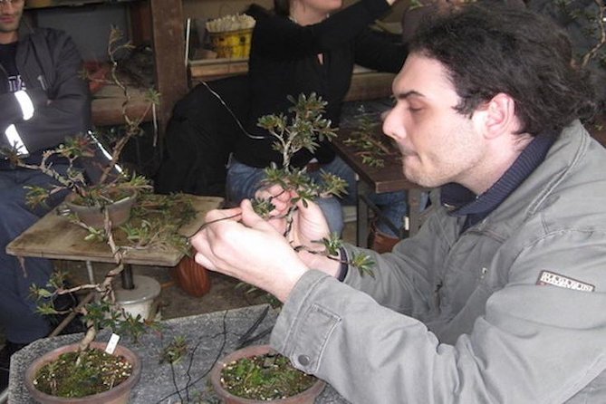Small-Group 2-Hour Bonsai-Making Lesson in Tokyo (Mar ) - Additional Information