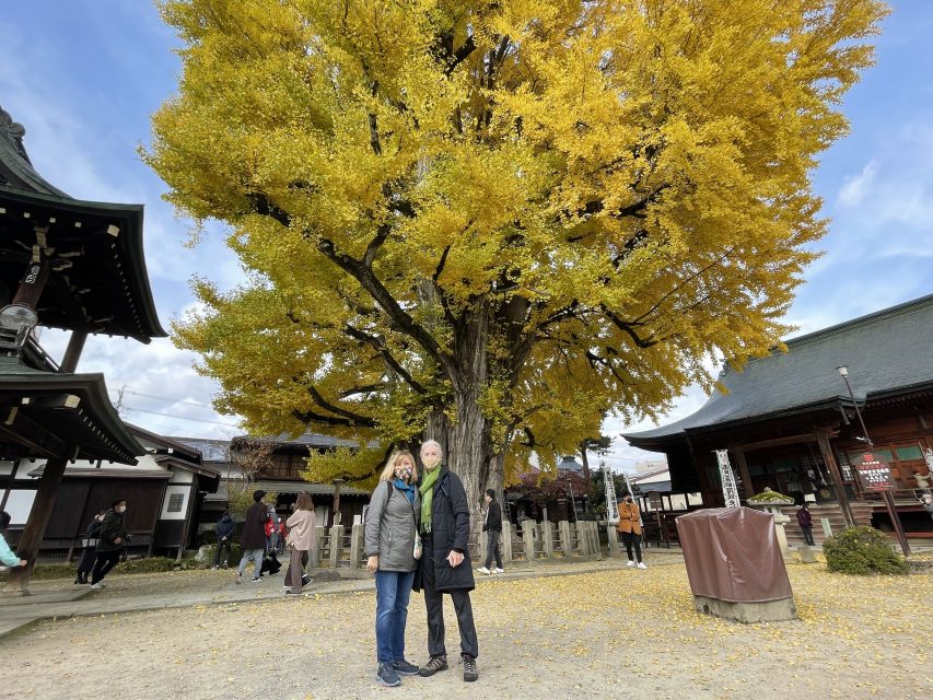 Takayama: Private Walking Tour With a Local Guide - Inclusions
