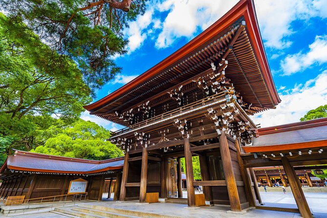 Tokyo 6 Hour Tour : English Speaking Driver Only, No Guide - Traveler Reviews Analysis