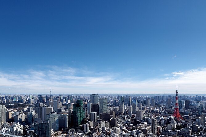 Tokyo 6hr Instagram Highlights Private Tour With Licensed Guide - Additional Information