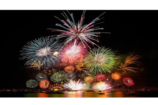 Tokyo Disneyland Shared Transfer : From Tokyo to Disneyland (One Way) - Service Expectations and Information