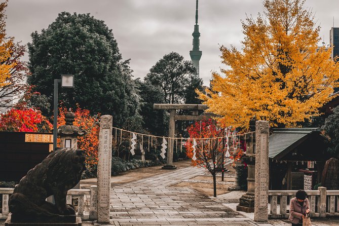 Tokyo Full Day Explorer Walking Tour - Reviews and Traveler Insights