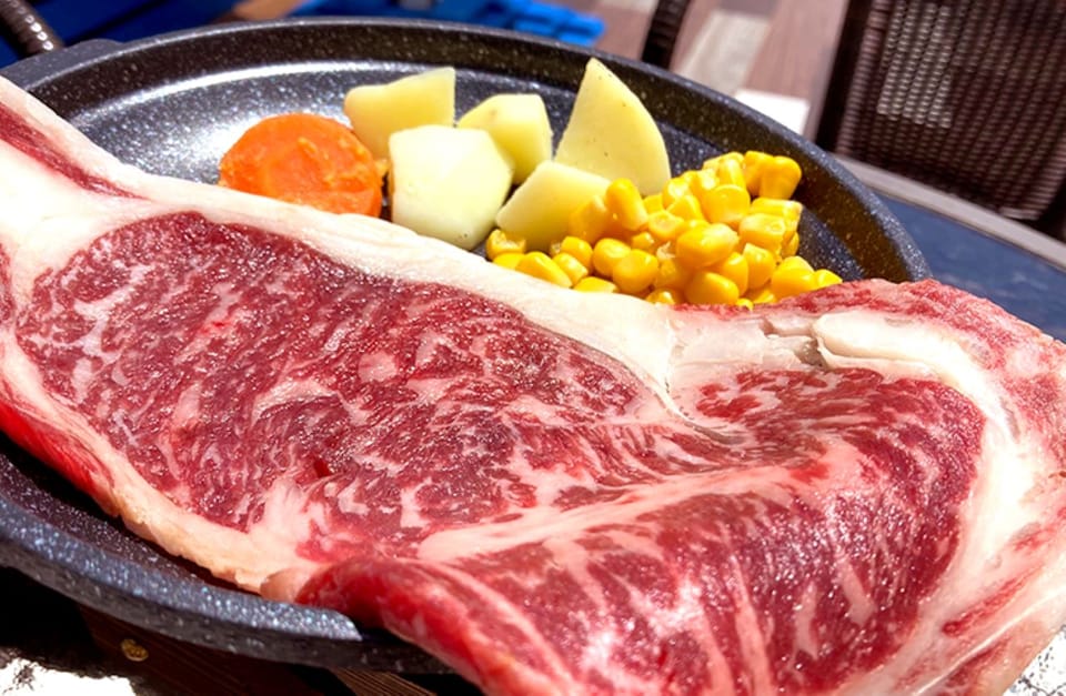 Tokyo: Mount Fuji and Lake Kawaguchi Scenic 1-Day Bus Tour - Booking Information