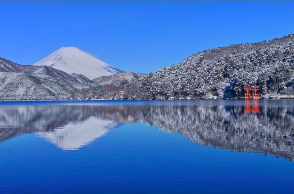 Tokyo: Mt Fuji Area, Lake Ashi, Owakudani, Onsen 1-Day Tour - Language Options