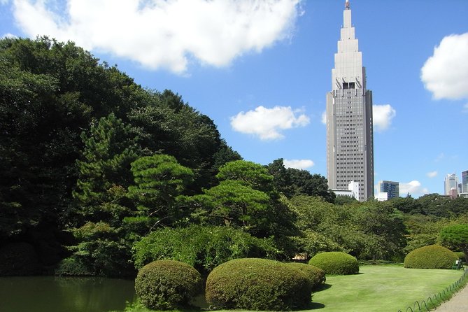 Tokyo Private Car Tour: Professional Guide and Driver/Optional Airport Xfer - Host Responses and Interactions