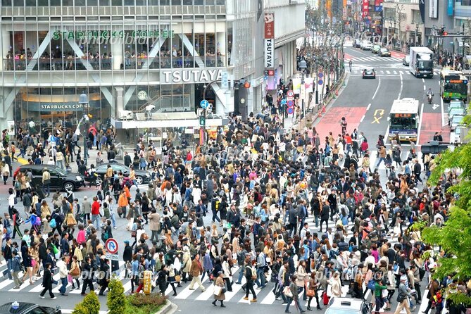 Tokyo Private Car Tour With Transport From/To Yokohama (Mar ) - Tour Reviews and Customer Feedback