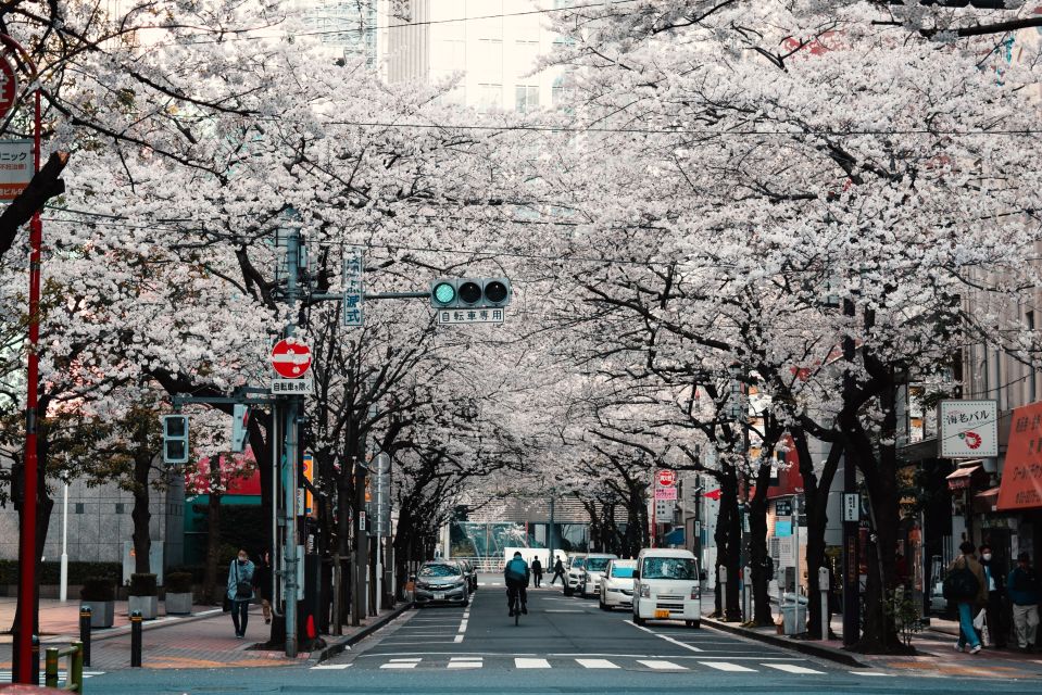 Tokyo: Private Cherry Blossom Experience - Meeting Point