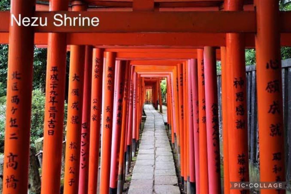 Tokyo: Private Full Day Sightseeing Tour - Driver Information