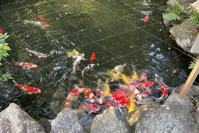 Tour Ise on a Rental Electric Scooter 90min - Meeting Point and Check-in