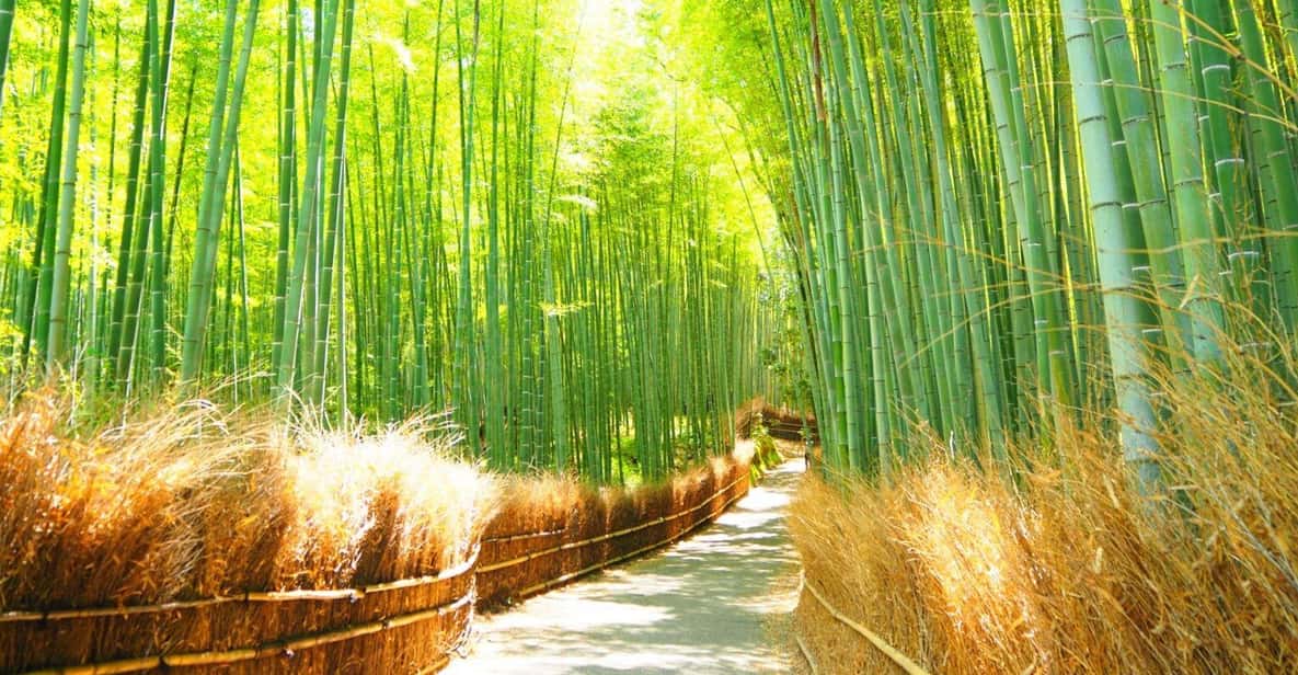Traversing Kyotos Scenic West - Arashiyama to Kinkakuji - Bamboo Grove Exploration
