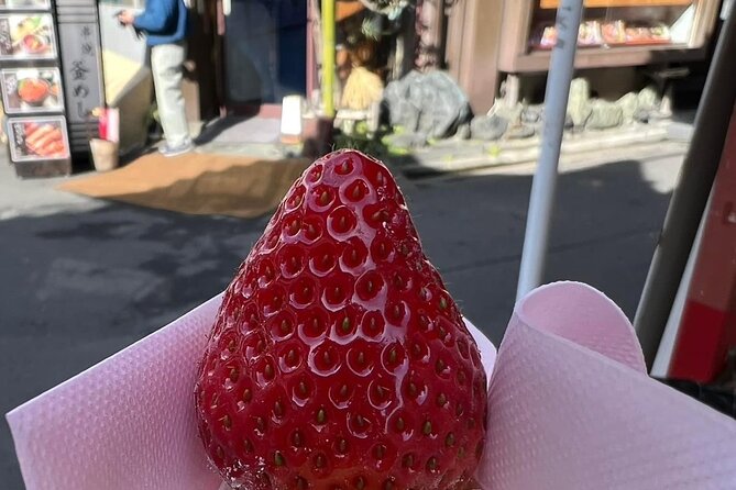 Tsukiji Fish Market Food Tour Best Local Experience In Tokyo. - Logistics and Accessibility